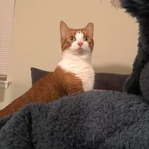 Meet your Posher, Brian